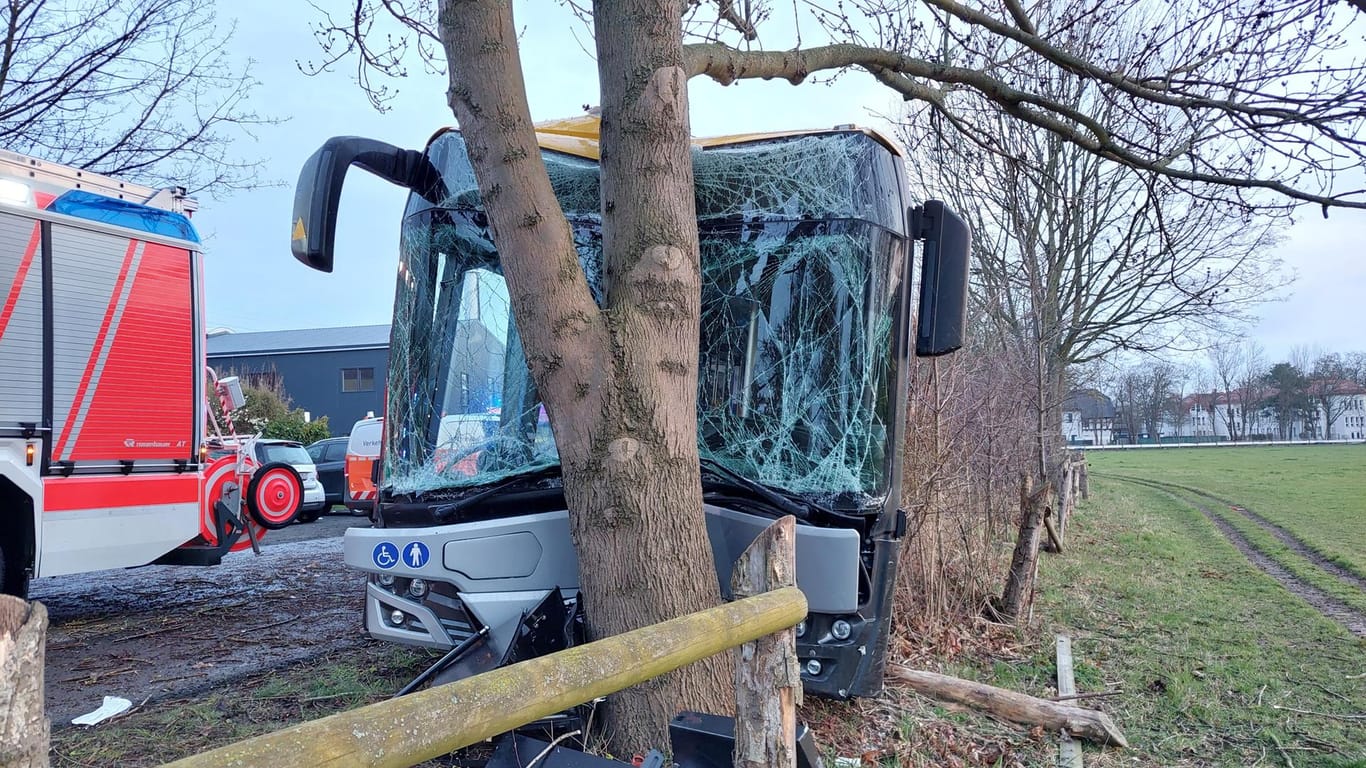 Linienbus prallt gegen Baum: Zwei Personen schwer verletzt