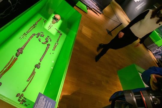 Ausstellung „Die Erfindung der Götter. Steinzeit im Norden“