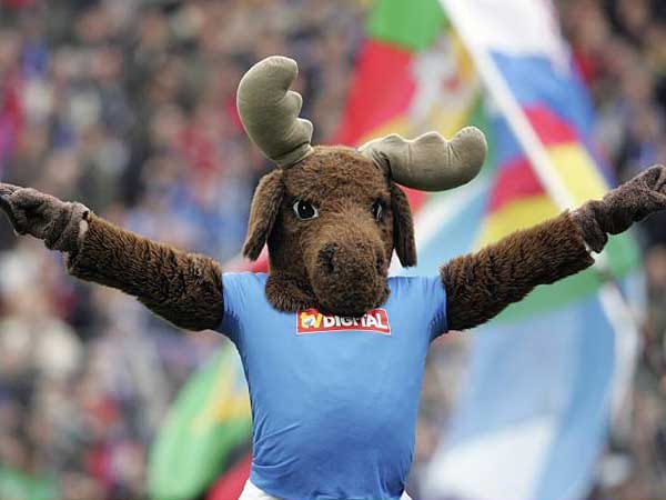 Elchtest: In den Siebzigern kollidierte Rosenborg-Verteidiger Svein Grondalen mit einem Rentier - beim Joggen. Das folgende Länderspiel verpasste der Norweger. Elchtest: In den Siebzigern kollidierte Rosenborg-Verteidiger Svein Grondalen mit einem Rentier - beim Joggen. Das folgende Länderspiel verpasste der Norweger.
