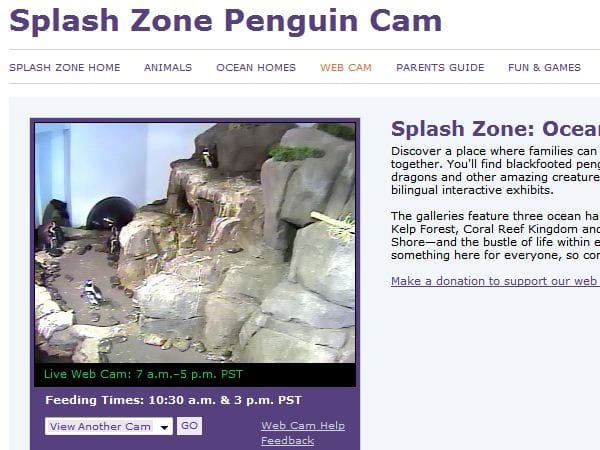 Webcam Bay Aquarium Monterey
