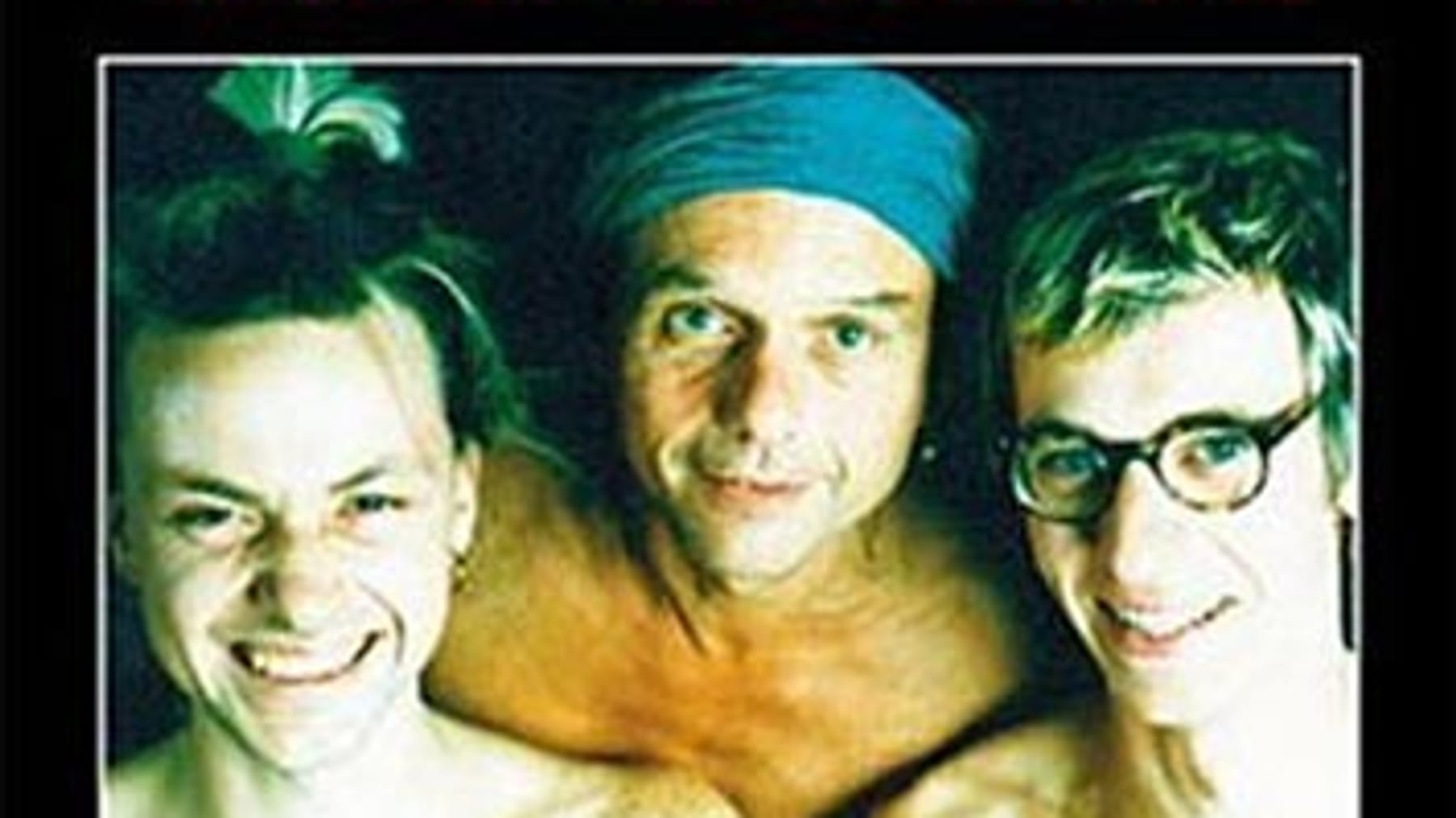 Die anderen Bands der DDR