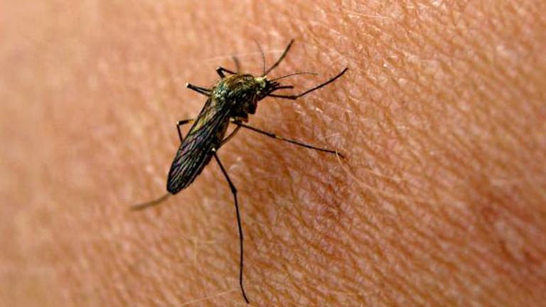 Mücken: Mittel zum Schutz gegen Mückenstiche im Test.