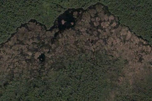 Der weltgrößte Biberdamm (die braune Fläche eingebettet in das wuchernde Grün des umliegenden Waldes) wurde jetzt in Kanada entdeckt. Das Bauwerk ist sogar aus dem Weltraum zu erkennen
