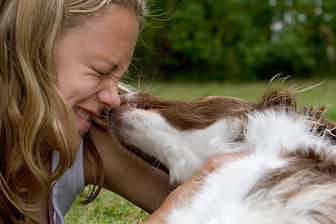 Beim Schmusen mit Hunden können Larven vom Fuchsbandwurm übertragen werden.