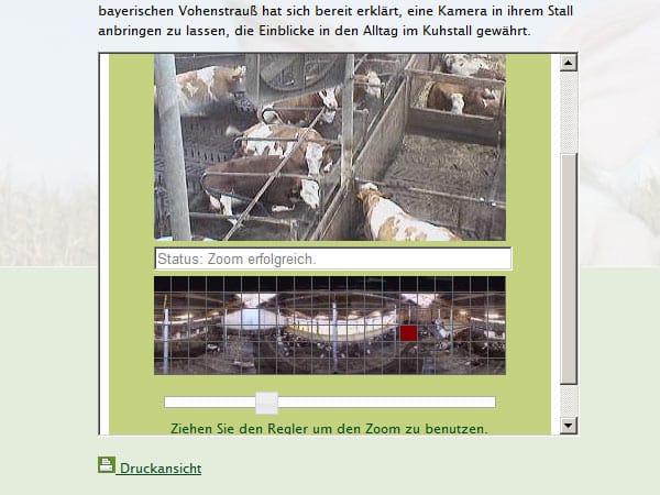 Webcam Kuhstall-TV (Screenshot: t-online.de)