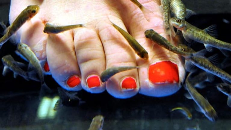 Pediküre Fische knabbern Füße schön