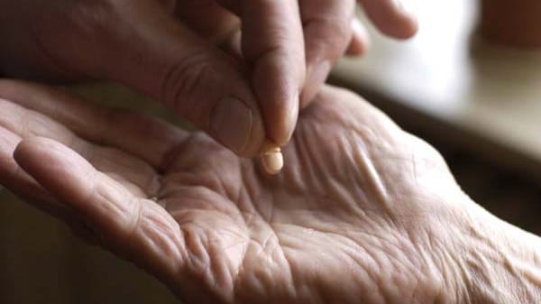 Sterbehilfe: Die Frage, ob Ärzte aktive Sterbehilfe leisten dürfen, ist noch immer umstritten