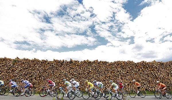Holzwand: Das Peloton der Tour de France passierte auf seinem Weg nach Bordeaux unzählige Baumstämme am Wegesrand.