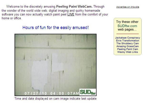 The Peeling Paint Webcam. (Screenshot: t-online.de)
