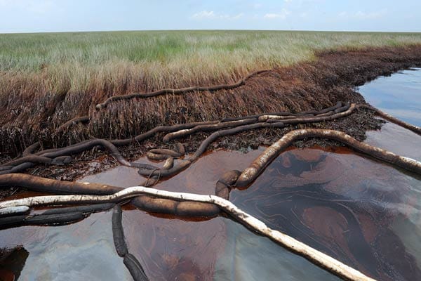 An vielen Küstenabschnitten reichen die Sicherungsmaßnahmen gegen den Ölfilm nicht aus. Die schwarze, zähe Masse breitet sich inzwischen an allen südlichen US-Küstenstaaten aus - Louisiana, Missisippi, Alabama, Florida und Texas. An vielen Küstenabschnitten reichen die Sicherungsmaßnahmen gegen den Ölfilm nicht aus. Die schwarze, zähe Masse breitet sich inzwischen an allen südlichen US-Küstenstaaten aus - Louisiana, Missisippi, Alabama, Florida und Texas.