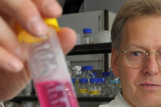 Thorsten Wolff vom Robert-Koch-Institut hat dem Grippevirus den Kampf angesagt