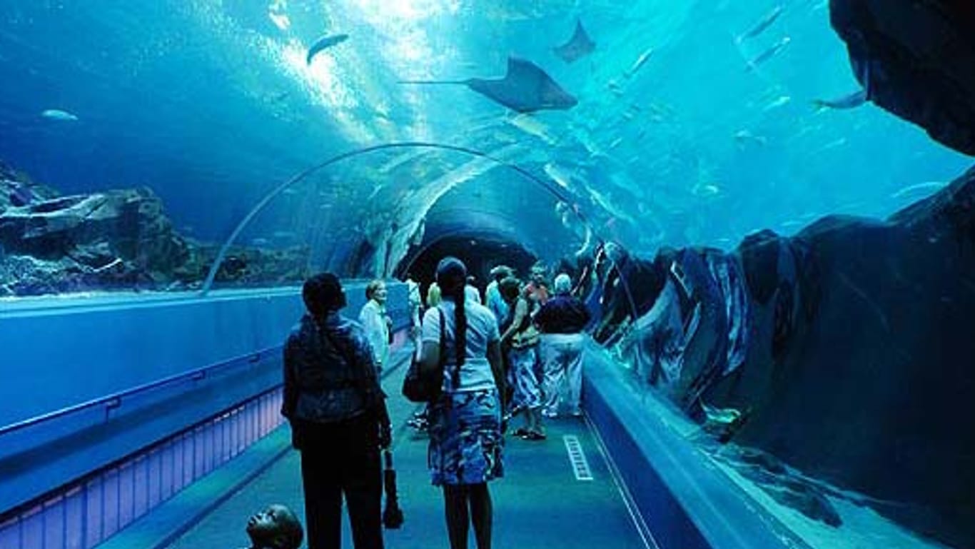 "Georgia Aquarium" in Atlanta
