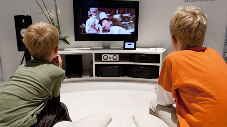 TV-Fettnäpfchen: Flachbild-Fernseher einsperren