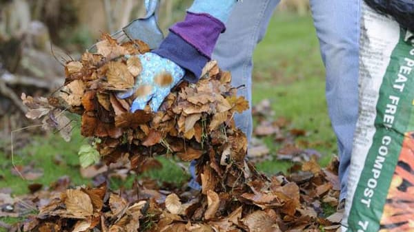 Wo im Garten das Laub liegen bleiben darf