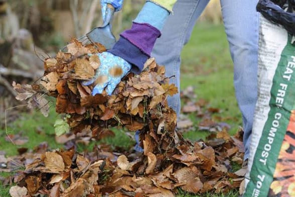 Wo im Garten das Laub liegen bleiben darf