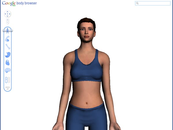 Die Reise in den virtuellen Körper beginnt beim Google Body Browser mit der Außenansicht. (Screenshot: t-online.de)