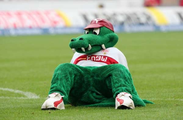 Die Fans des VfB Stuttgart lieben ihr Maskottchen "Fritzle". Das Krokodil steht bei Heim- und Auswärtsspielen vor der Fankurve. Es hat sogar einen eigenen Fanklub mit 4000 Mitgliedern. 1992 führte der VfB das Krokodil ein, damals hieß es noch Alligator (Herleitung: Liga und Tor).