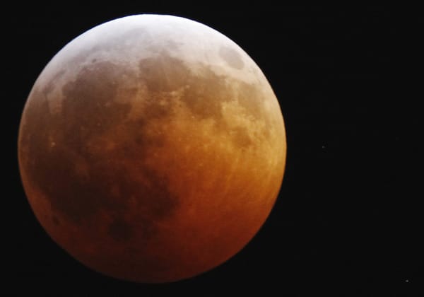 Blutmond: Eine Mondfinsternis ist ein faszinierendes Naturschauspiel: Die Erde schiebt sich zwischen Mond und Sonne, ihr Schatten fällt auf den Trabanten. An der Erdatmosphäre wird rotes Licht gebrochen, das den Mond zum sogenannten Blutmond färbt. Die Aufnahme entstand in Palm Beach (USA). Blutmond: Eine Mondfinsternis ist ein faszinierendes Naturschauspiel: Die Erde schiebt sich zwischen Mond und Sonne, ihr Schatten fällt auf den Trabanten. An der Erdatmosphäre wird rotes Licht gebrochen, das den Mond zum sogenannten Blutmond färbt. Die Aufnahme entstand in Palm Beach (USA).