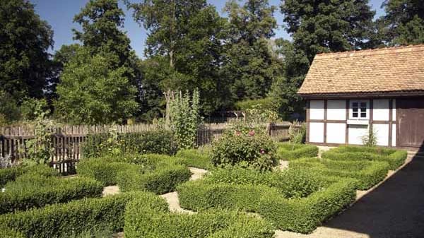 Eine Hecke aus Buchs bleibt das ganze Jahr über grün, allerdings wächst das Pflanze meist nicht sehr hoch.