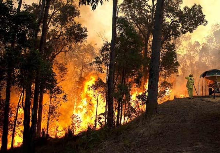 Im Norden und Südosten von Perth zerstören die Flammen etwa 1600 Hektar Wald.