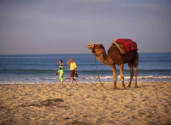 Urlauber und ein Kamel am Strand von Djerba.