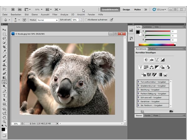Adobe Photoshop (Screenshot: t-online.de)