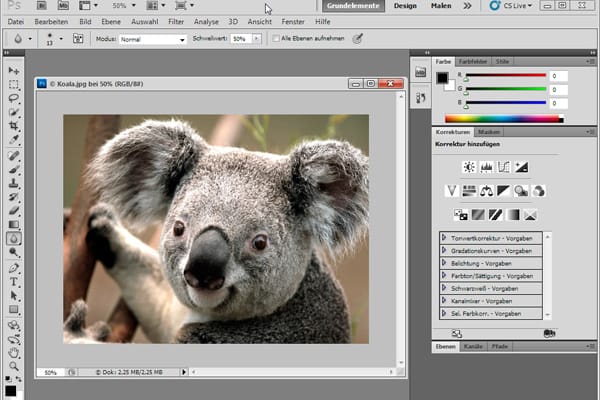 Adobe Photoshop (Screenshot: t-online.de)