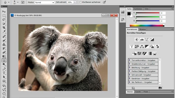 Adobe Photoshop (Screenshot: t-online.de)