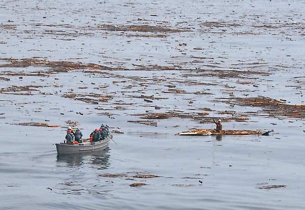Direkt nach dem Unglück fanden die Rettungskräfte immer wieder Überlebende, wie diesen 60-jährigen Japaner. Auf dem Dach seines Hauses trieb er zwei Tage im Meer.