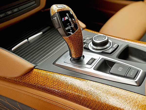 Applikationen aus Nanai-Lachsleder verfeinern die serienmäßige Lederausstattung des BMW X6.