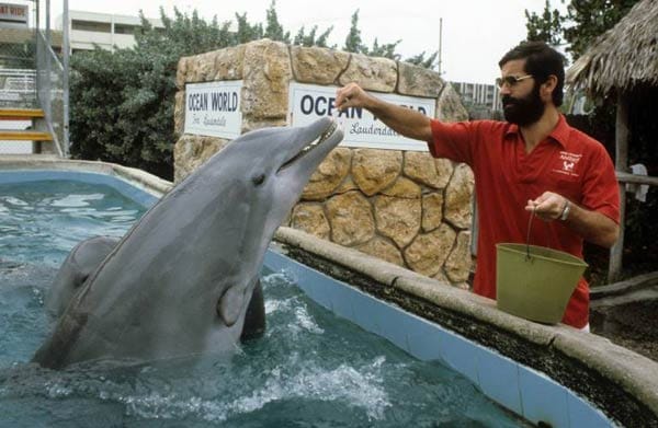 Der Bomber am Abend seiner Karriere: Im Süden der Vereinigten Staaten, in Fort Lauderdale, füttert er Ende der 70er Jahre einen Delfin. Gerd Müller kickte drei Jahre in den USA.
