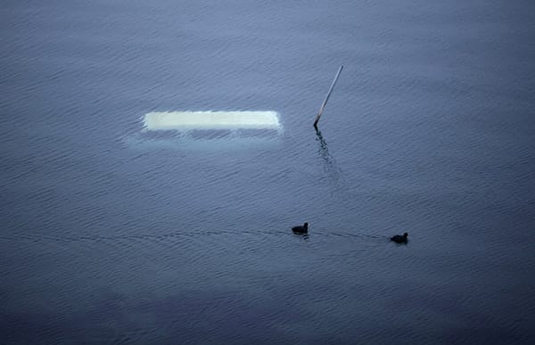 In Yamada schwimmen Enten an einen Automobil vorbei, das nach dem Tsunami von ins Meer gezogen wurde.
