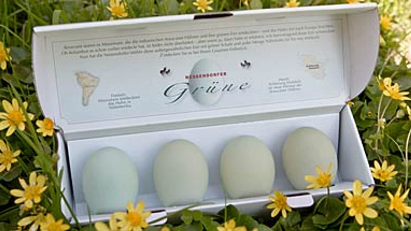 Die grünen Eier der Araucana-Hühner werden als Delikatesse vermarktet