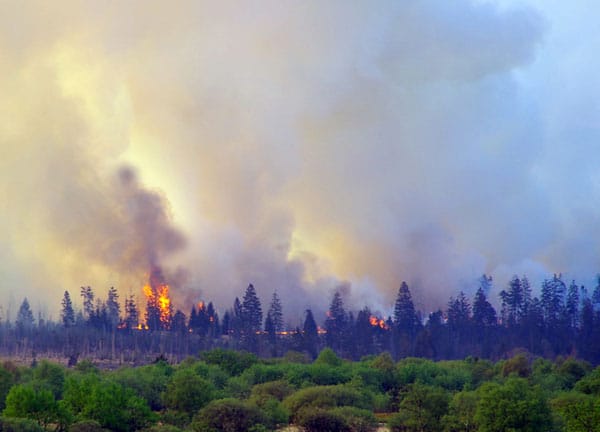 Bei einem Brand in dem Naturschutzgebiet Hohes Venn werden rund 1000 Hektar Land zerstört. Bei einem Brand in dem Naturschutzgebiet Hohes Venn werden rund 1000 Hektar Land zerstört.