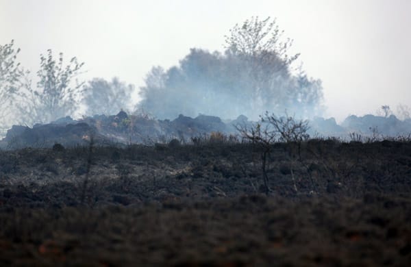 Der Großbrand hat rund ein Fünftel des bedeutenden Naturschutzgebietes bei Aachen vernichtet. Der Großbrand hat rund ein Fünftel des bedeutenden Naturschutzgebietes bei Aachen vernichtet.