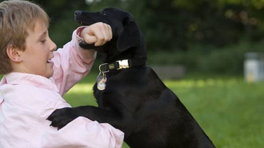 Kinder sollten früh lernen, dass Hunde keine Kuscheltiere sind.