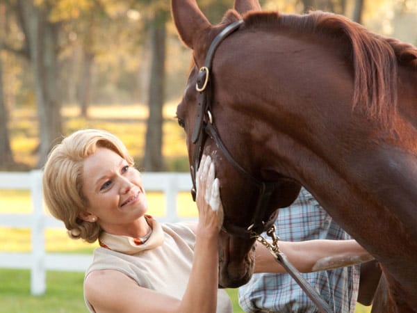 Und die Erfolgsgeschichte beginnt mit einem Namen: Secretariat. Und die Erfolgsgeschichte beginnt mit einem Namen: Secretariat.
