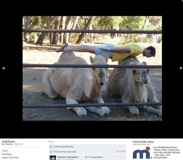 So suchen Planking-Fans nach immer neuen Herausforderungen - wie hier auf den Höckern zweier Kamele.
