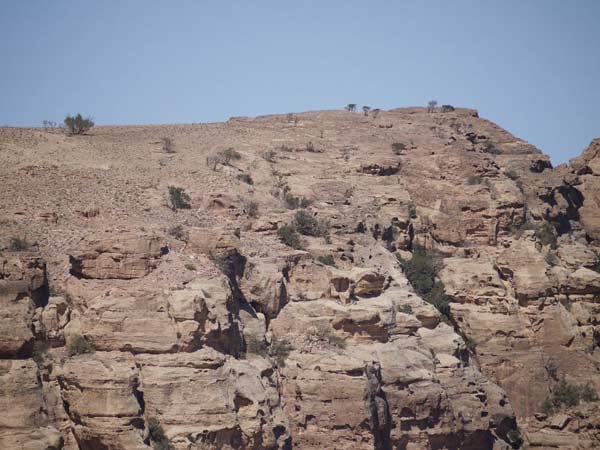 Ostseite des Bergs Umm al-Bijara: In der Bildmitte sind die Plateaus zu erkennen, auf denen die Palastanlage einst gestanden hat.