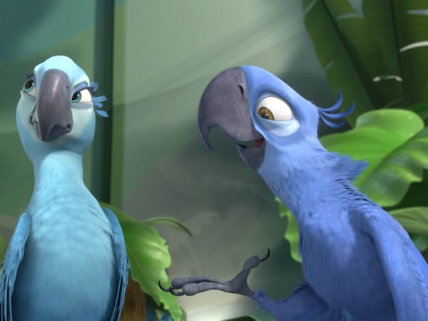 Ganz im Gegenteil zu Jewel, die von dem verhätschelten Blu nicht sonderlich angetan ist. Der kann ja nicht mal fliegen. Ganz im Gegenteil zu Jewel, die von dem verhätschelten Blu nicht sonderlich angetan ist. Der kann ja nicht mal fliegen.