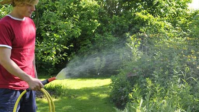 Gartenpflege: Die größten Fehler bei der Gartenpflege im Sommer.