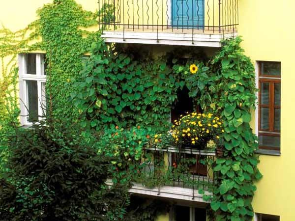 Sichtschutz für Balkon und Garten