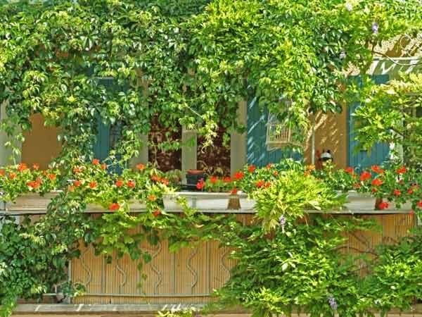 Sichtschutz für Garten und Balkon