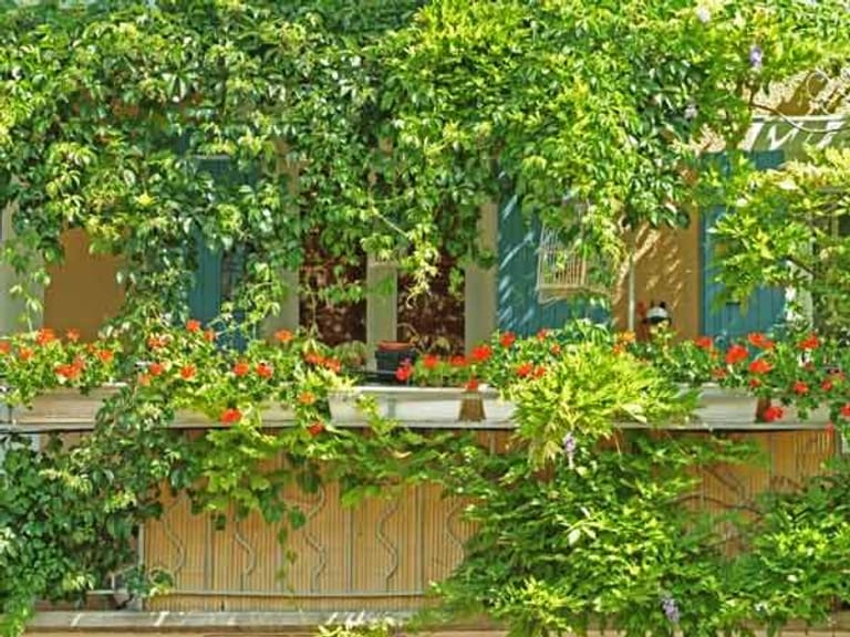 Sichtschutz für Garten und Balkon