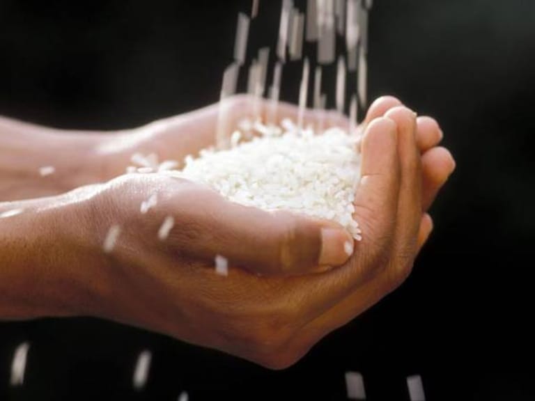 Reis gilt als besonders kohlenhydrathaltiges Nahrungsmittel.