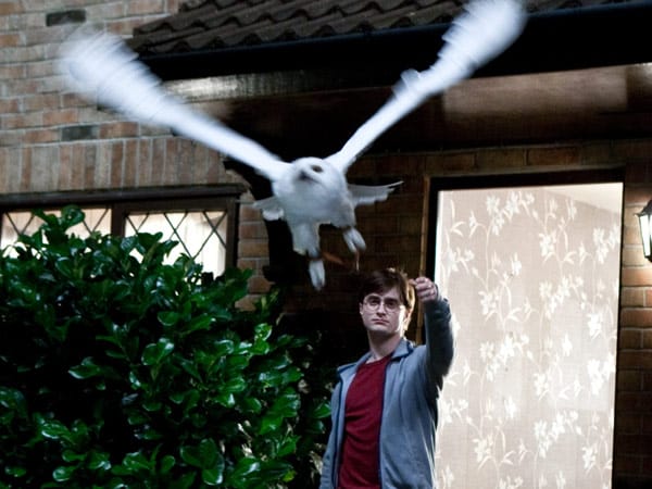 Harry (Daniel Radcliffe) weiß, dass er keine andere Wahl hat, als das gehasste Dursley-Haus zu verlassen, denn mit seinem siebzehnten Geburtstag wird er volljährig, und damit verfallen auch alle Schutzzauber, die das Haus bot.