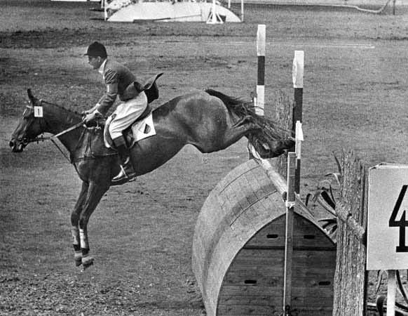 Hans Günter Winkler verletzt sich während der Olympischen spiele 1956 in Stockholm bei einem Sprung. Die Diagnose: Ein Muskelriss in der Leistengegend. Dennoch will er den Finaldurchgang reiten und bindet sich mit einem Gürtel die Oberschenkel zusammen. Von starken Schmerzmitteln benommen, schreit er bei jedem Sprung seiner Stute Halla laut auf. Trotzdem bleibt Winkler ohne Fehler und wird mit der Goldmedaille belohnt.