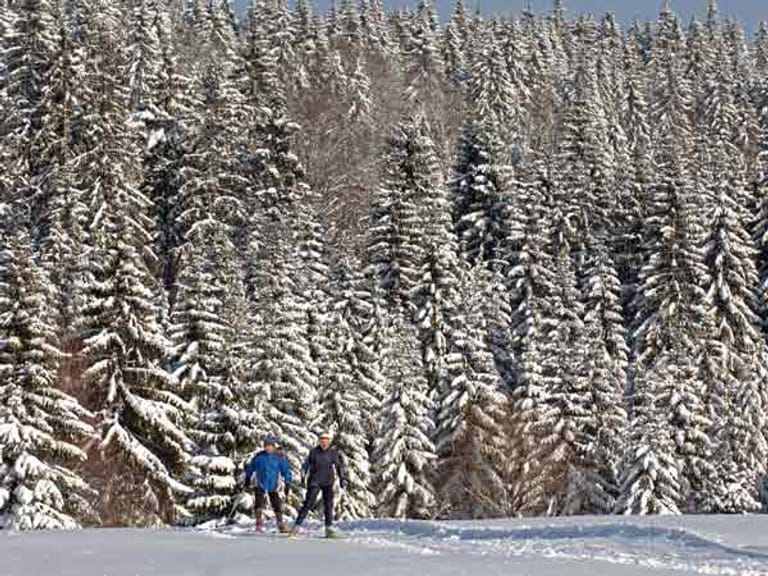 Skilanglauf als Ausdauersport im Winter