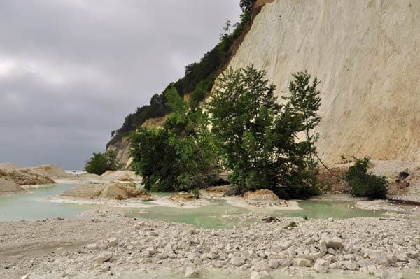 Der Abbruch der Kreidefelsen im Nationalpark Jasmund auf Rügen ereignete sich nahe dem Kieler Bach zwischen Königsstuhl und Sassnitz an der als Nationalpark geschützten Küste.