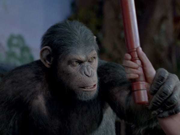 Den Affen gelingt die Flucht aus ihrem Gefängnis, und der hyperintelligente Primat Caesar plant eine Revolution gegen die Menschheit.